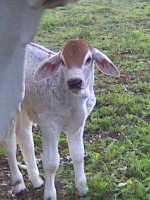 image001-2.jpg