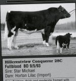 Hillcrestview Conquerer.jpg