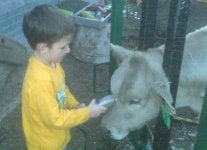 Gavin Clipping.jpg
