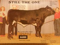 rambosmall.jpg