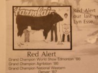 red alert small.jpg
