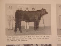 86steercallaghan.jpg