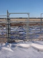 Gate in Frame.JPG