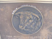 Felix Renick big bulls head 007.JPG