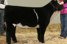 60 RES CH CHI HFR MALISSA ERDMAN.JPG