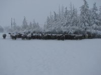 Blizzard 018 - Copy.JPG