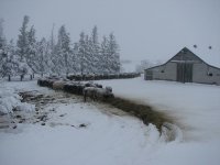 Blizzard 022 - Copy.JPG