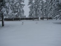 Blizzard 023 - Copy.JPG