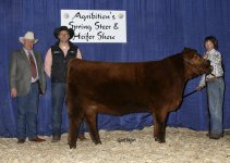 Lass 1T - calf low.jpg