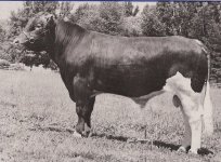 inox2.jpg