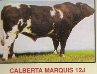 Calberta Marquis.jpg