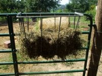 Hayfeeder 001-720.jpg