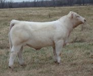 BigCreekRedemptionDec09-2r.jpg