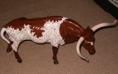 model bulls longhorn.JPG