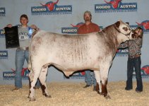 2010 Star of Texas Fair.jpg