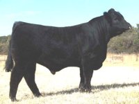 307-1'.jpg