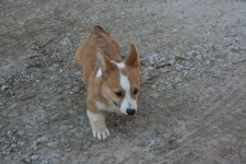 IMG_1945.JPG