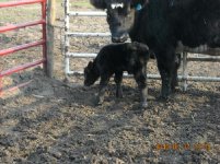 Oreo and Baby.JPG