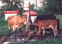 cattlesaver-1.jpg