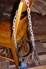 Steel halters 003.jpg