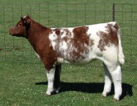 Lot 3 Bell (Fortune) x AOD.jpg