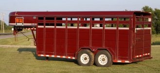 calves and trailer 06112010 153 web.jpg