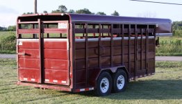 calves and trailer 06112010 158 web.jpg