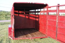 calves and trailer 06112010 160 web.jpg