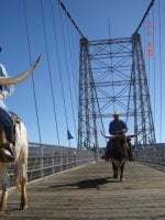 TR on the Royal Gorge Bridge 3.JPG