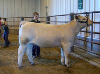 Showmanship Fremont 2a.jpg