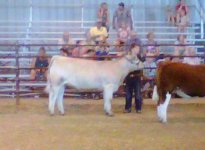 Showmanship Fremont 3.jpg