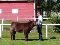 National Junior Shorthorn Show 2010 037.jpg