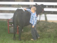 4-H 2010 063.jpg