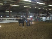 4-H 2010 068.jpg