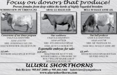 Embryo proof Uluru.jpg