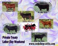 Cookshowcattle2010.jpg