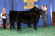 030-VKR-Cattle-51.jpg