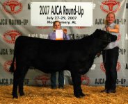 Reserve%20Champion%20Brangus%20Heifer%20-%20Sarah%20Dickinson.jpg