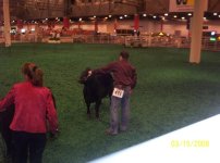 Houston Livestock Show 2008 037.jpg