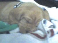 beasley 002.jpg