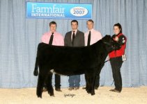 Canada Ice Chest Heifer Final.jpg