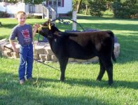 Grant & HW Heifer 1.jpg