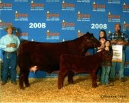 Duchess - 2008 Houston Livestock Show Email.jpg