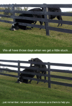 funny.gif