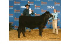 Houston Heifer Pics-Collin.jpg