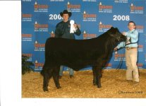 Houston Heifer Pics-Collin (Small).jpg