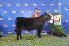 2010 MO State fair pics 001.jpg