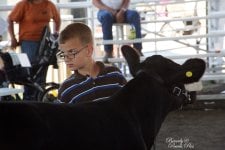 2010 MO State fair pics 003.jpg
