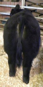 DSCN1224.JPG