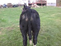 my phone pics 126.jpg